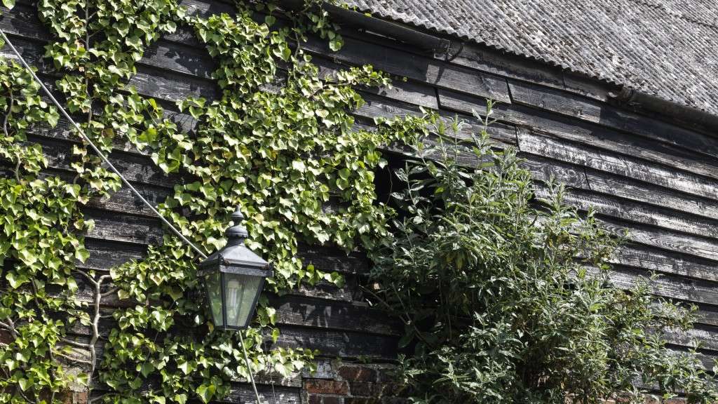 Barn at the Bear Public House.  Credit: Robin Forster